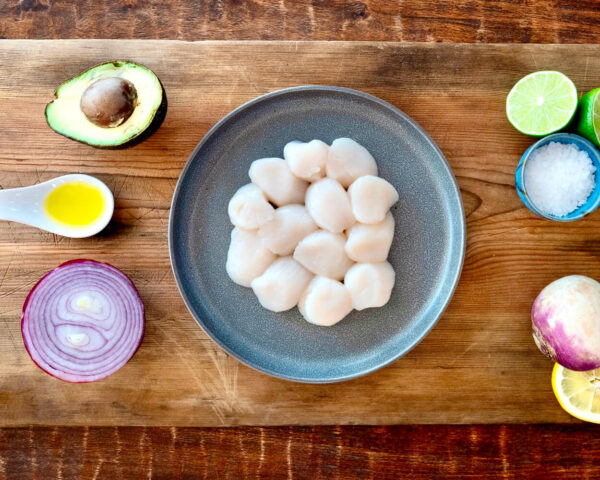 Scallops