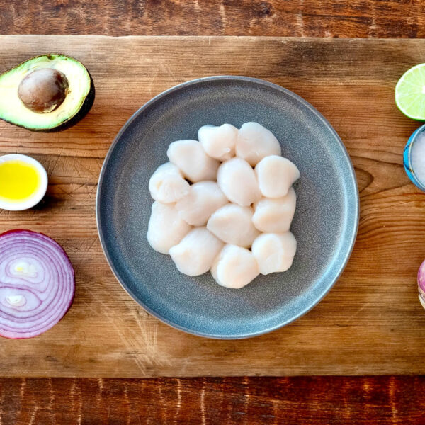Scallops