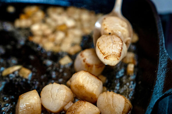 Scallops - Image 4