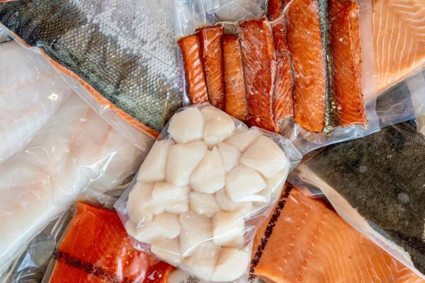 Scallops - Image 5