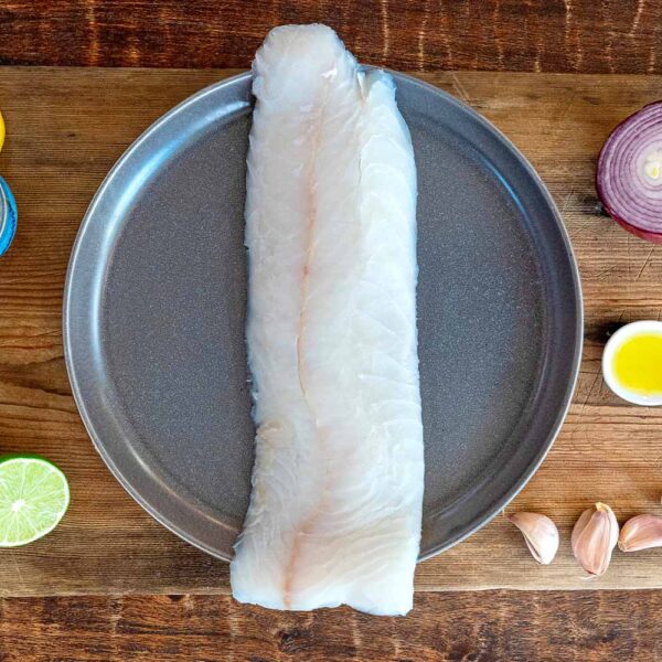 Lingcod