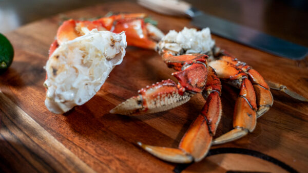 Dungeness Crab - Image 2