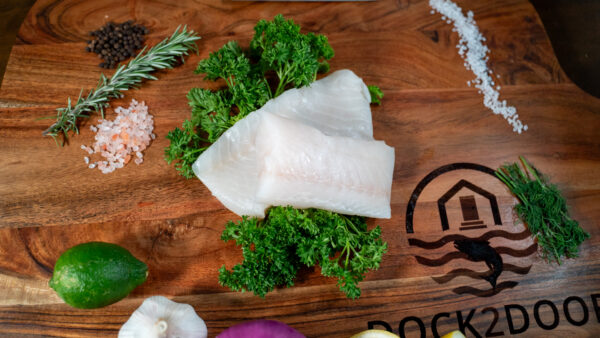 Lingcod - Image 2